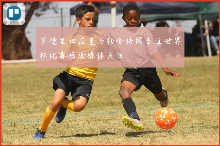 罗德里回应皇马转会传闻专注世界杯比赛感谢媒体关注