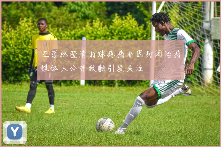 王哲林澄清打球疼痛非因封闭治疗媒体人公开致歉引发关注