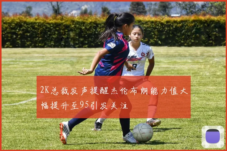 2K总裁发声提醒杰伦布朗能力值大幅提升至95引发关注